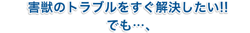 害虫によるトラブルをすぐに解決したい!!でも…、