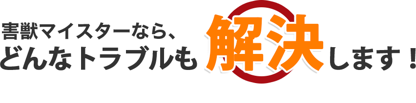 害虫駆除マイスターなら、どんなトラブルも解決します！